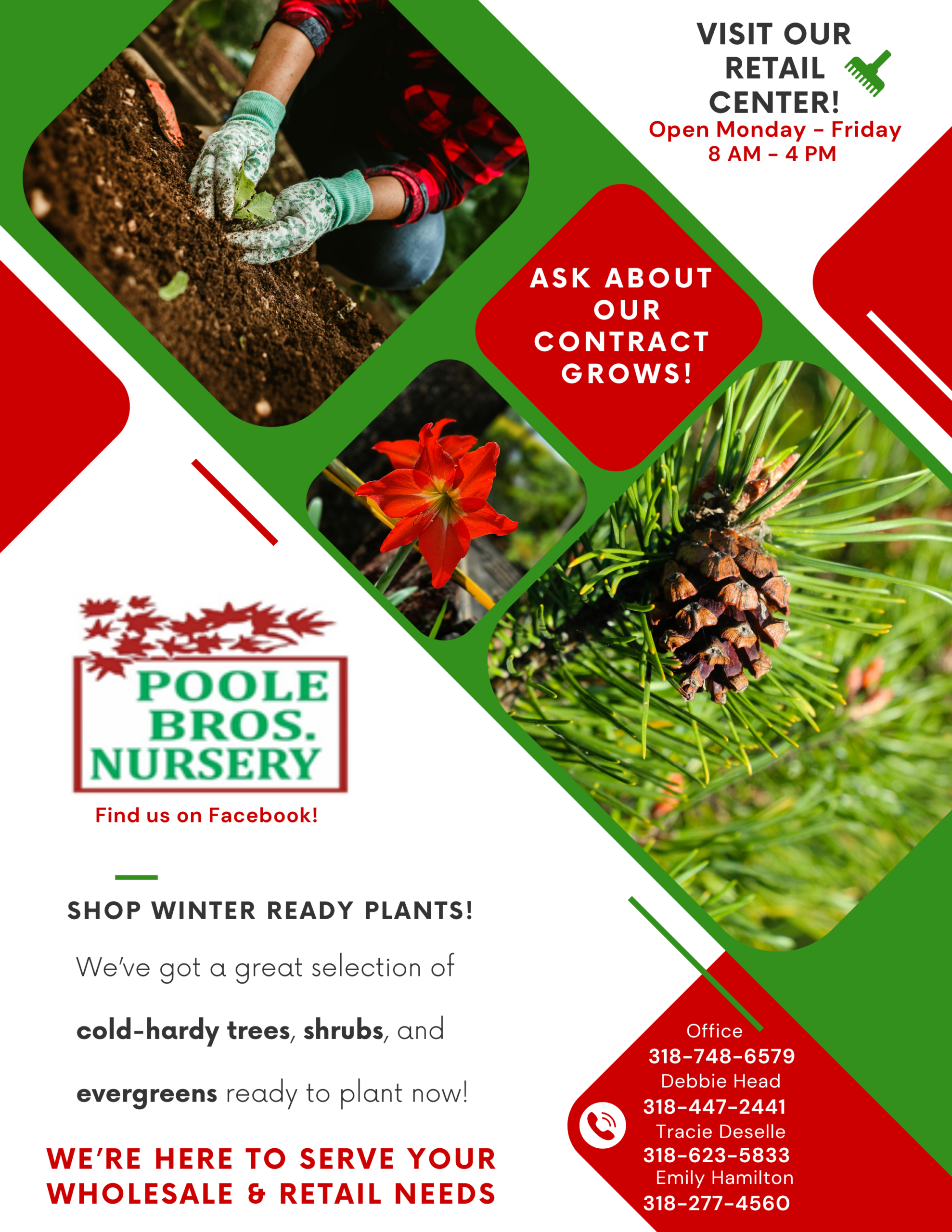 Green Geometric Lawn Care Flyer 1 scaled